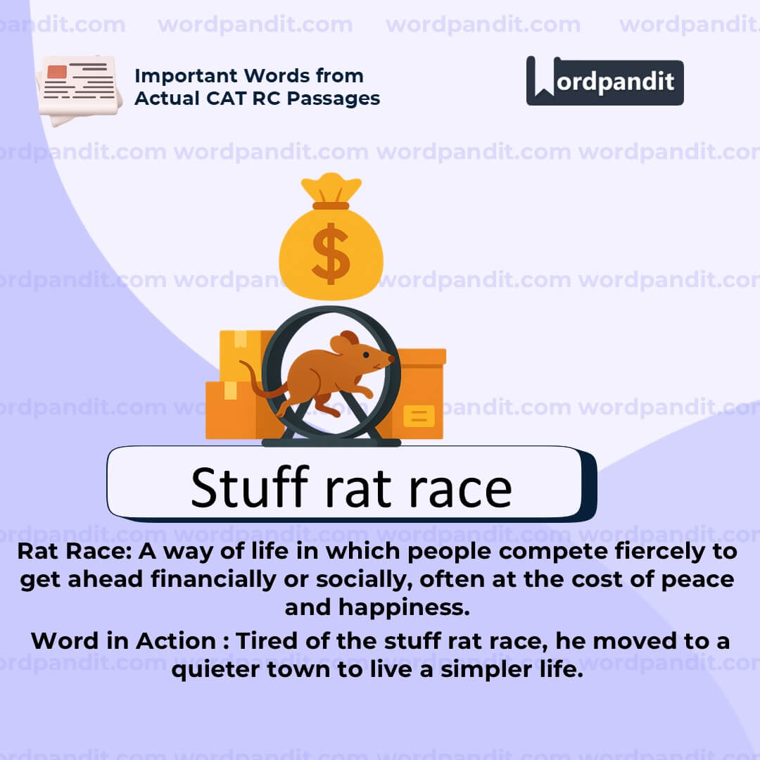 Stuff Rat Race Stuff Rat Race