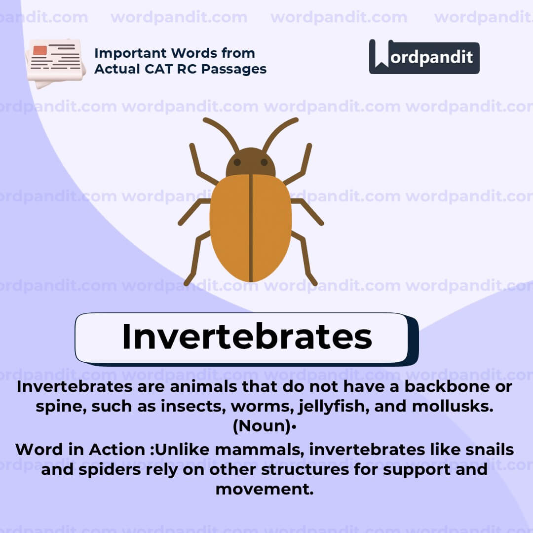 Invertebrates Invertebrates