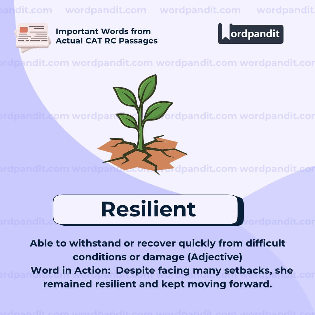 Resilient (1)