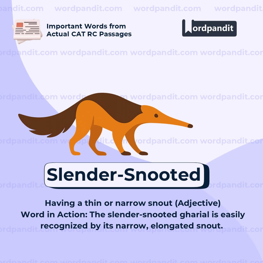 Slender Snooted Slender Snooted