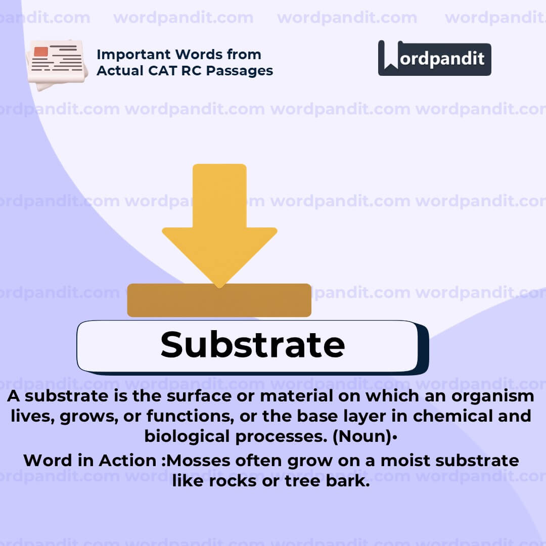 Substrate Substrate