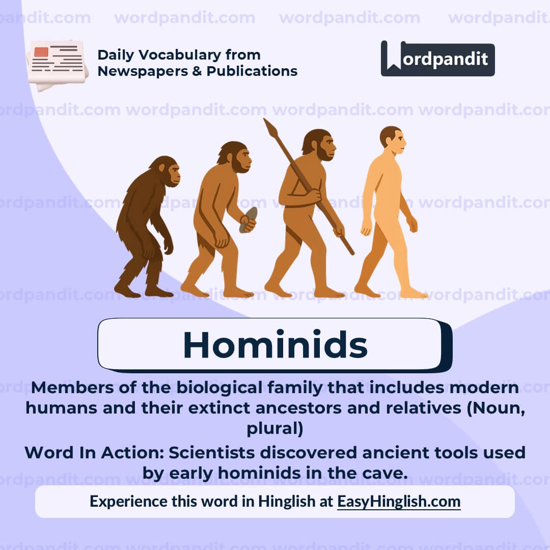 Hominids